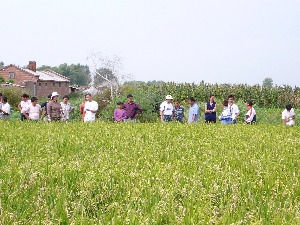 ���n�͑呛��