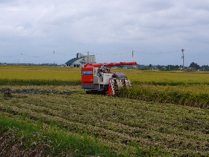 ���������I