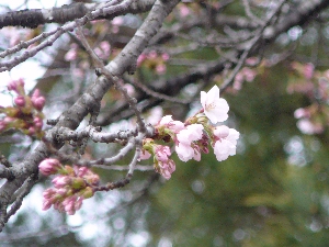 ������A������