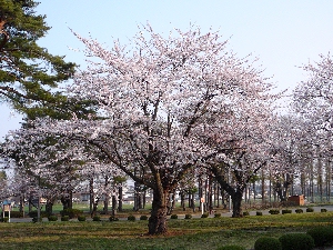 �����Ƃ����Ԃ�