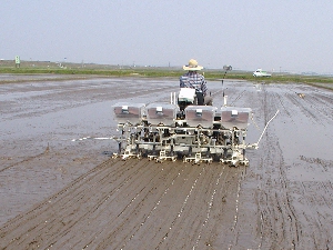 ��܂��ł��B