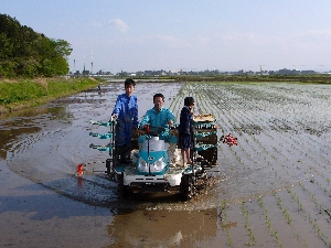 �c�⋋�͂܂����āI