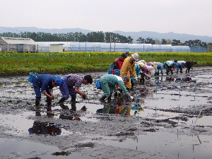 ���J�͂�����