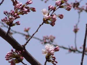 �͂������