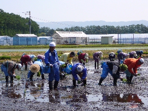 �c�A�����a