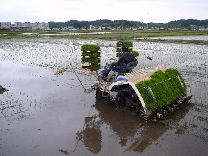 ���X�g�X�p�[�g