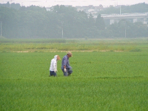 ����肵�Ȃ���