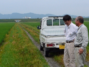 ����͂ǂ��ł���