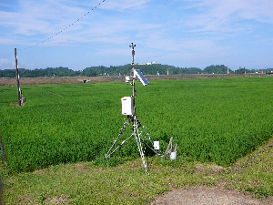 �Ă͂����܂�