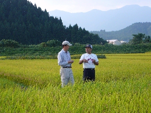 �����ł�