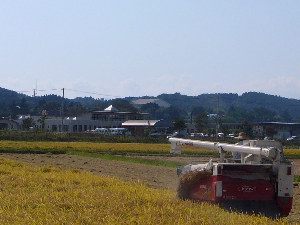 ���ЂƂ��Ȃ�