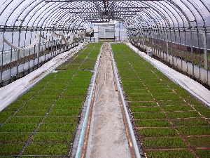 �܂��܂��ł�