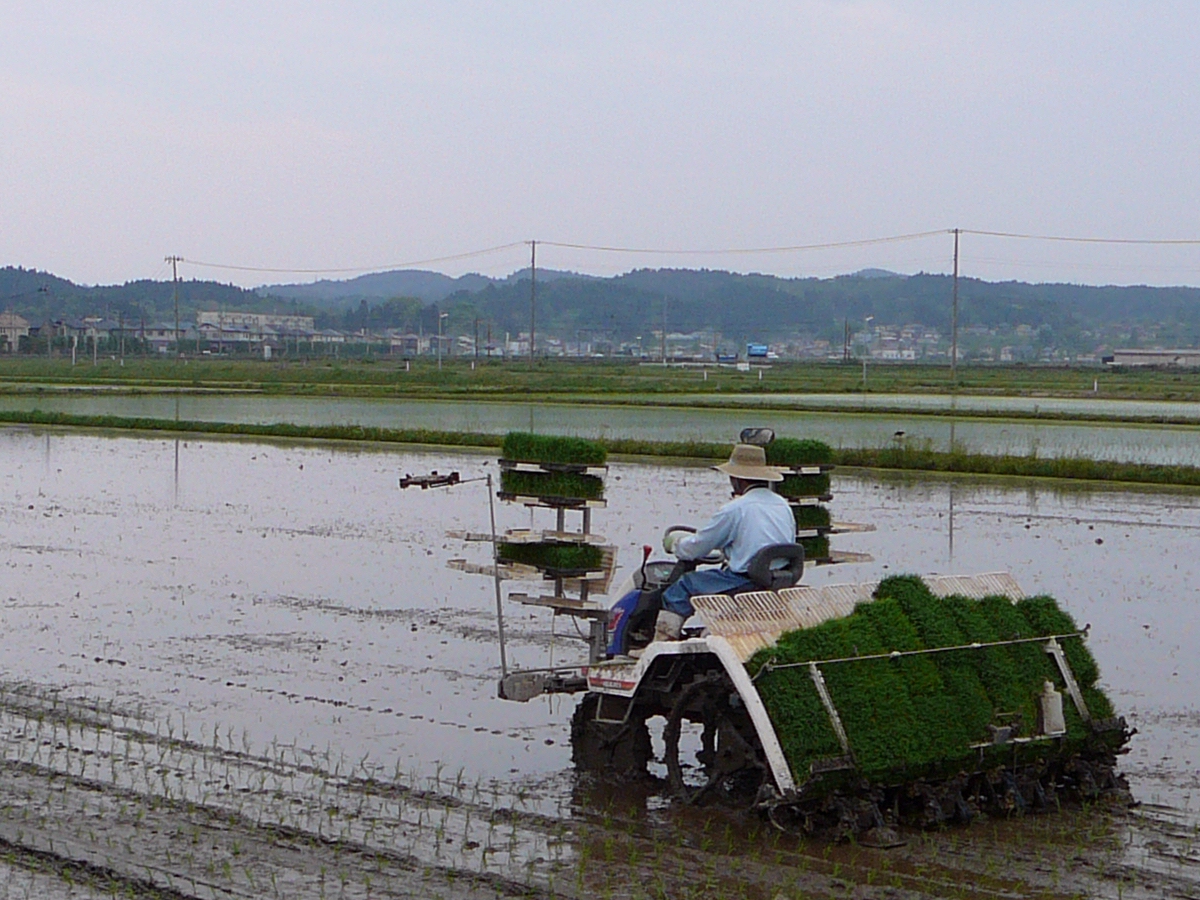 �j�̓c�A�@���̂R