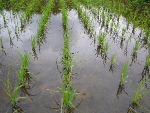 �傫���Ȃ�܂���