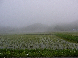 ���ł͂Ȃ���܂��ł��E�E�E�i�X�����ˁj