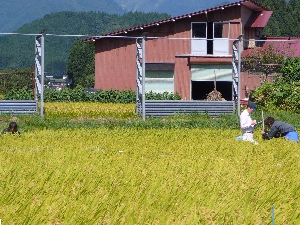 �����҂�