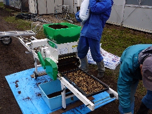 �V������܂��@