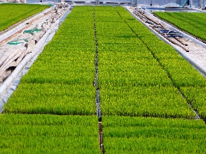 �X���Ă��܂�