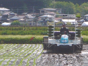 �҂����ł�