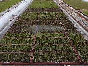 ���肵�Ă��܂���