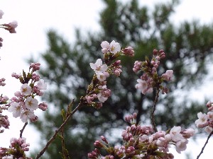 �悤�₭�J�Ԃł�