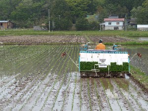 �}���Ȃ��Ă�