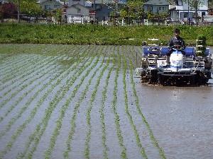 ���������đ�ςł�