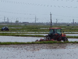 �Ί��s�E�h��(5/15)