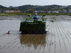 ���s�E�n��(5/15)