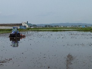 �ォ�������낻��I���