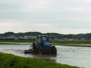 �j�̃g���N�^�[