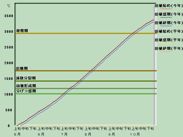 生育進度経過図