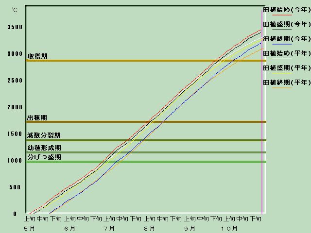 生育進度経過図