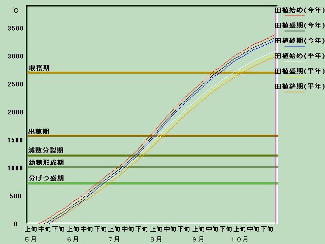 生育進度経過図