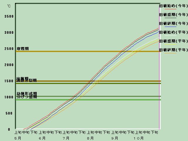 生育進度経過図