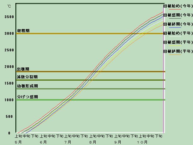 生育進度経過図