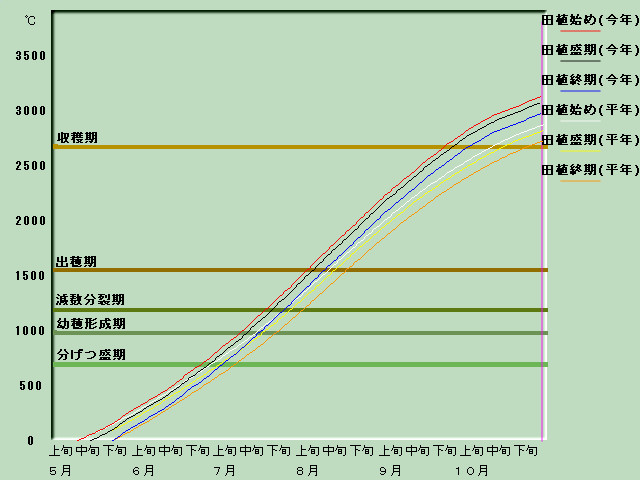 生育進度経過図