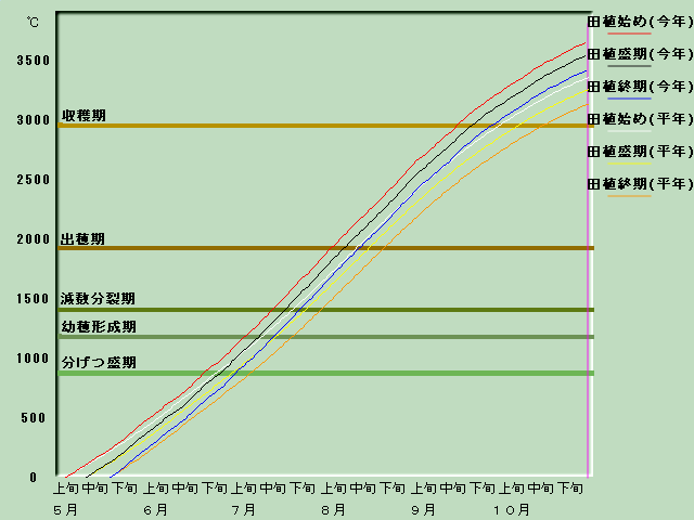 生育進度経過図