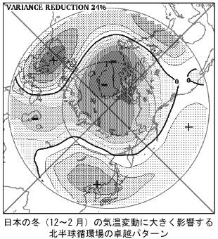 ���{�̓~�i12�`2 ���j�̋C���ϓ��ɑ傫���e������k�����z��̑�z�p�^�[��