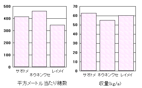 �u�A�L�`�J���v�̓���