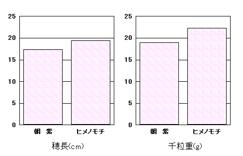 �u�����v�̓���