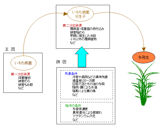 �������a�̎���ƗU��