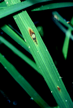 �������a���i�����^�j