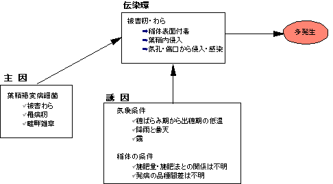 �t�⊌�ϕa�̎���ƗU��