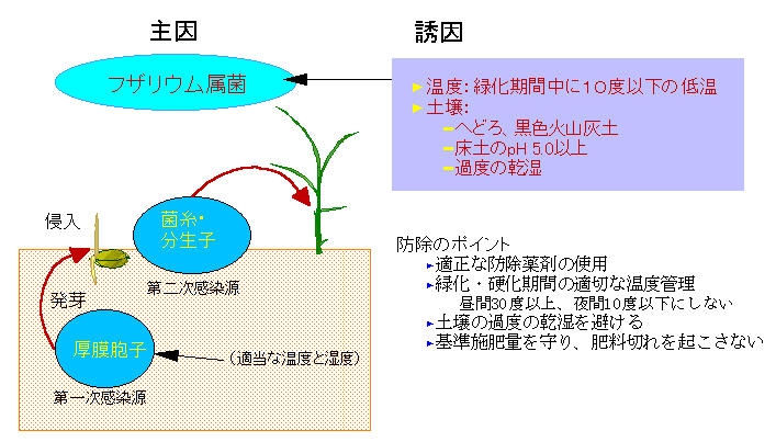 �t�U���E������