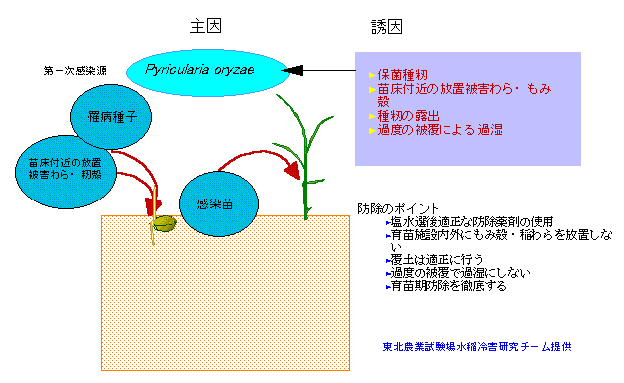�u�v�̓���