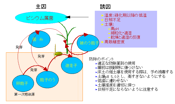 �s�V�E������