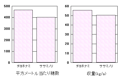 �u�`���z�i�~�v�̓���