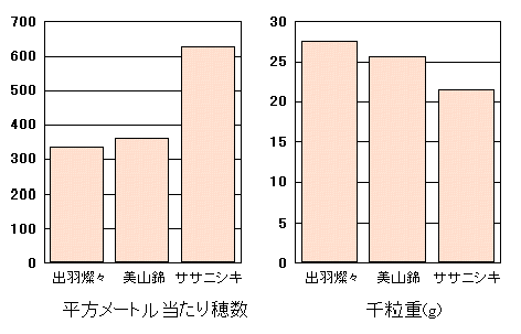 �u�o�H�W�X�v�̓���