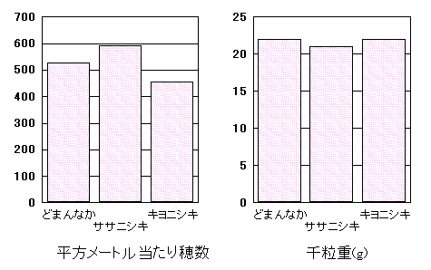 �u�ǂ܂�Ȃ��v�̓���